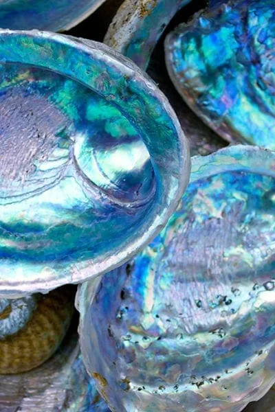 Nacre Mother of Pearl