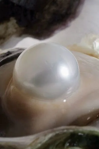 How Pearls are Formed
