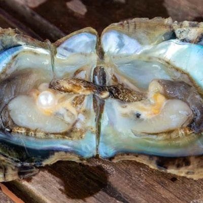 Which Pearls are the Best?